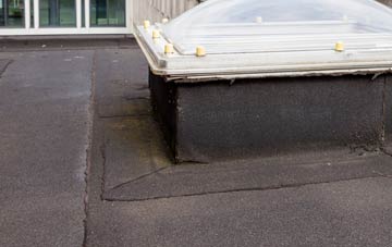 disadvantages of Craig Cefn Parc flat roofs