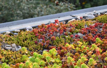 the cost of Craig Cefn Parc green roof installation