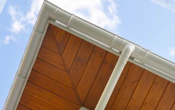 Craig Cefn Parc soffit types