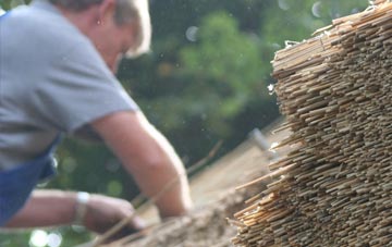 professional Craig Cefn Parc thatchers