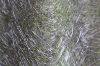 Craig Cefn Parc fibreglass roof work